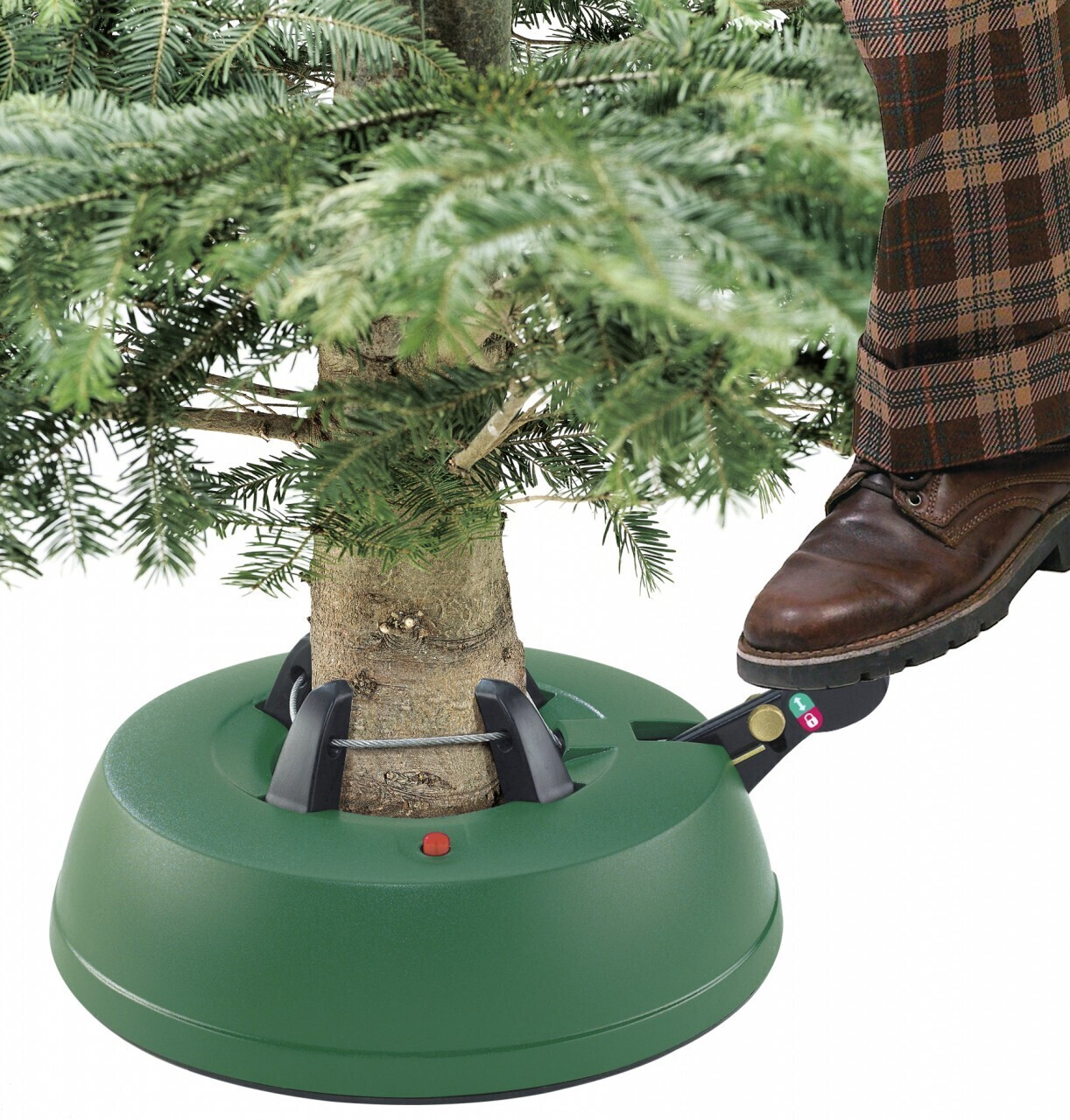 Baum, Schuh, Topfpflanze, Konifer, Tanne