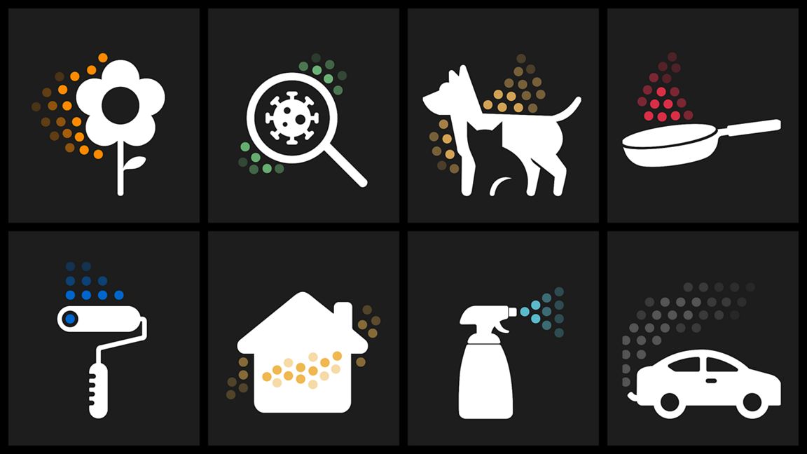 blume, vergrößerungsglas, hund, pfanne, rollpinsel