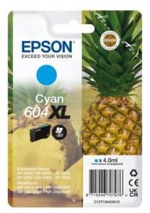 Essen, Obst, Ananas, Pflanze, Produzieren