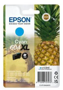 Essen, Obst, Ananas, Pflanze, Produzieren
