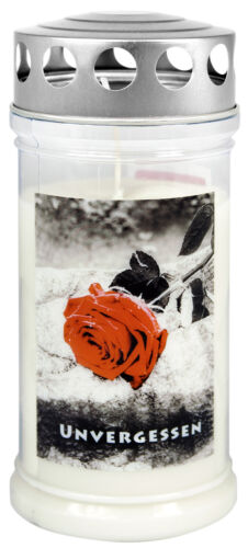 Pflanze, Rose, Tasse, Flasche, Shaker