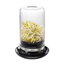 Pflanze, Sprossen, Bohnenspross, Produzieren, Gemüse