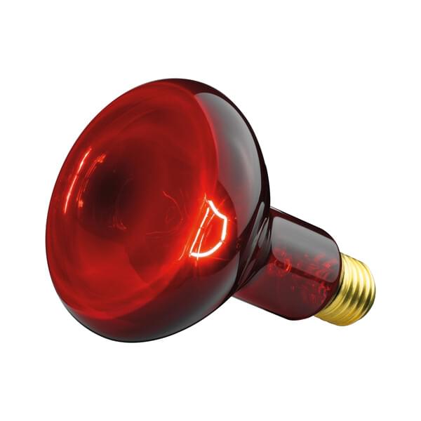 Beurer Ersatzstrahler für Infrarotlampe IL11