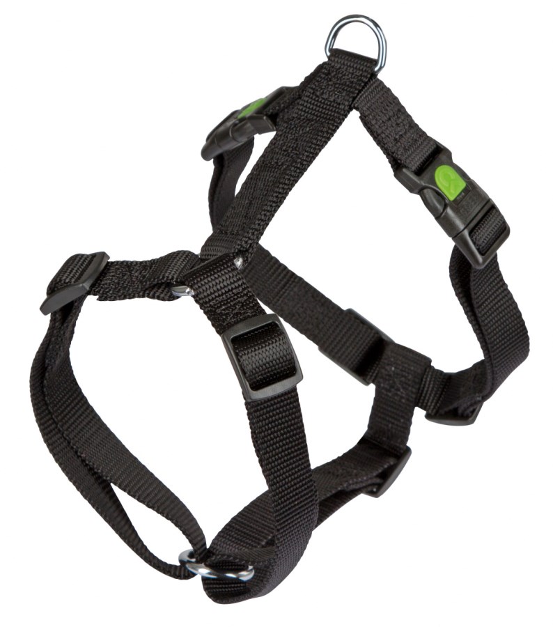 Harness