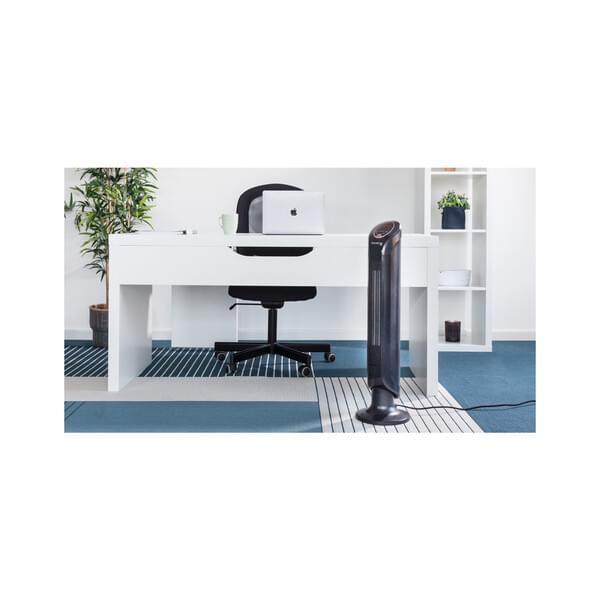 Moebel, Tabelle, Schreibtisch, Stuhl, Pflanze