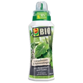 Kräuter, Flasche, Ketchup, Shaker