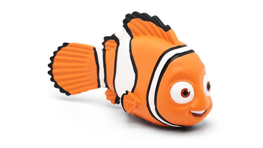 Amphiprion, Tier, Fische, Leben im Meer