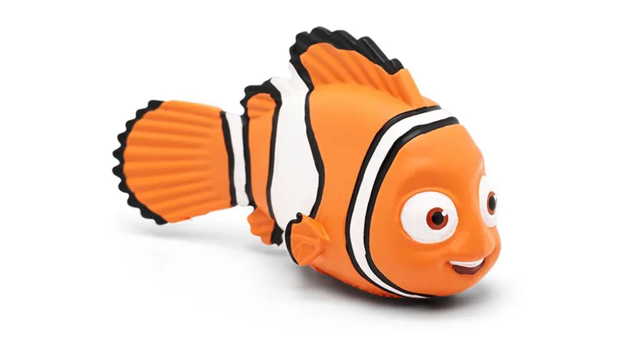 Amphiprion, Tier, Fische, Leben im Meer
