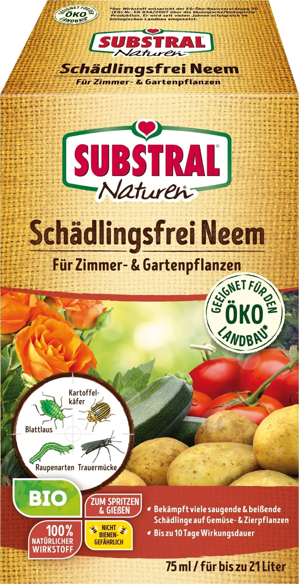 Werbung, Plakat, Kräuter, Pflanze, Rose