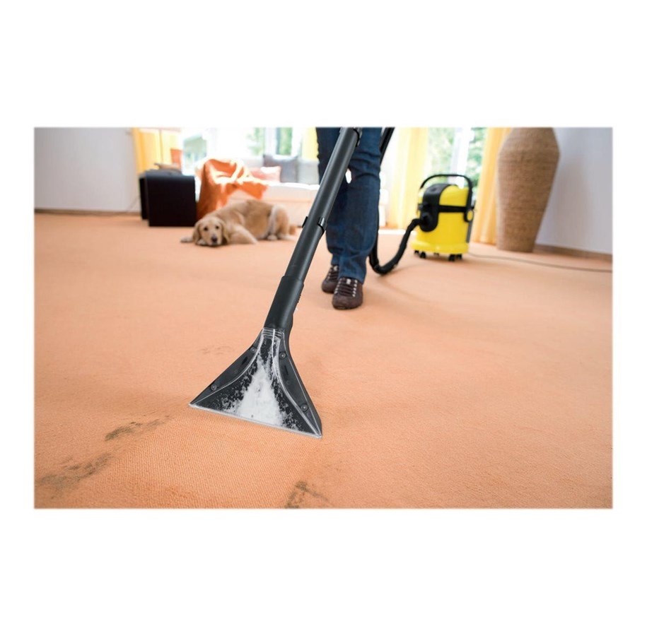 Drinnen, Innenarchitektur, Hund, Säugetier, Haustier