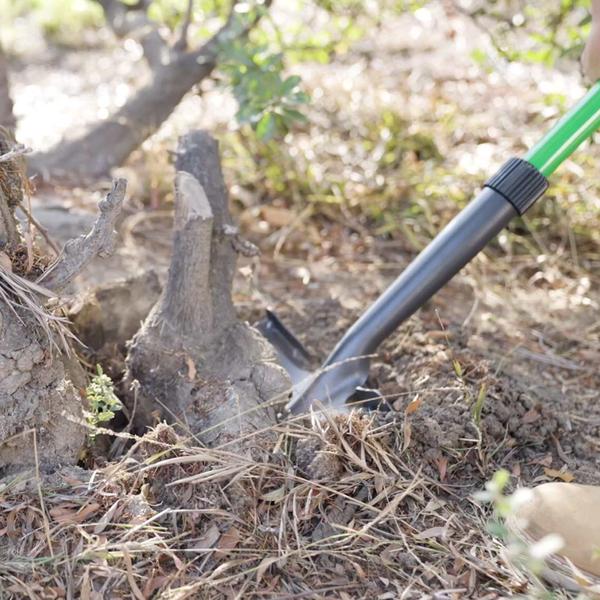 Pflanze, Baum, Gerät, Schaufel, Werkzeug