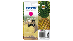 Essen, Obst, Ananas, Pflanze, Produzieren