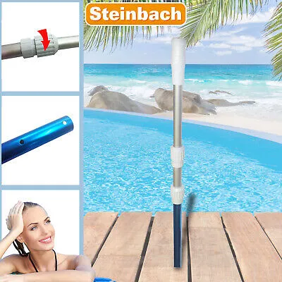 Bär, Säugetier, Tierwelt, Sommer, Wasser