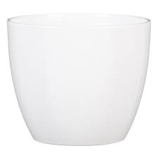 Schale, Porzellan, Töpferei, Glas, Tasse