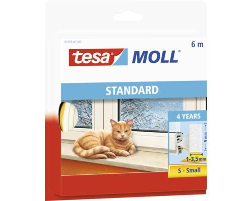 Tier, Katze, Säugetier, Haustier