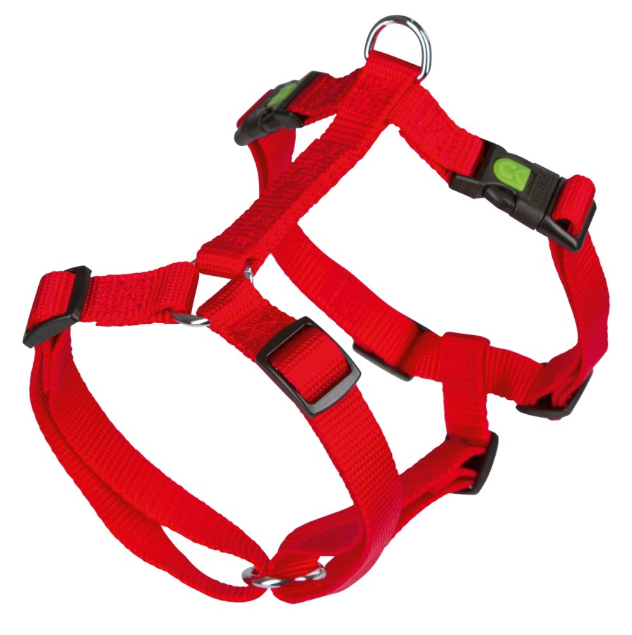 Harness
