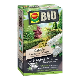 Kräuter, Pflanze, Blume