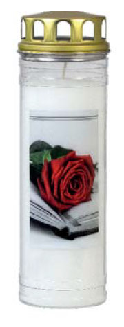 Krug, Pflanze, Rose, Flasche, Shaker