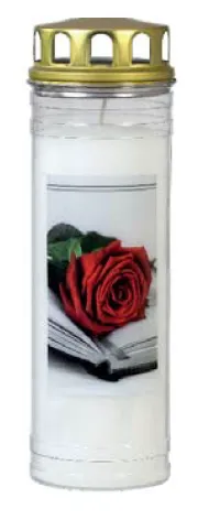 Krug, Pflanze, Rose, Flasche, Shaker