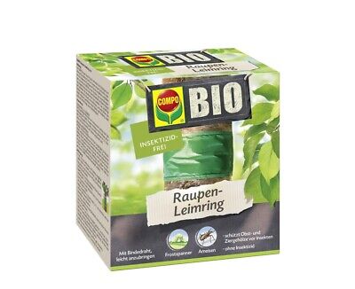 Kräuter, Pflanze, Getränk, Tee, Grüner Tee