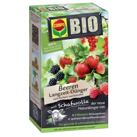 Beere, Essen, Obst, Produzieren, Himbeere