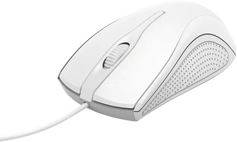 Maus, Weiß, Kabelgebunden, Optisch, Computermaus