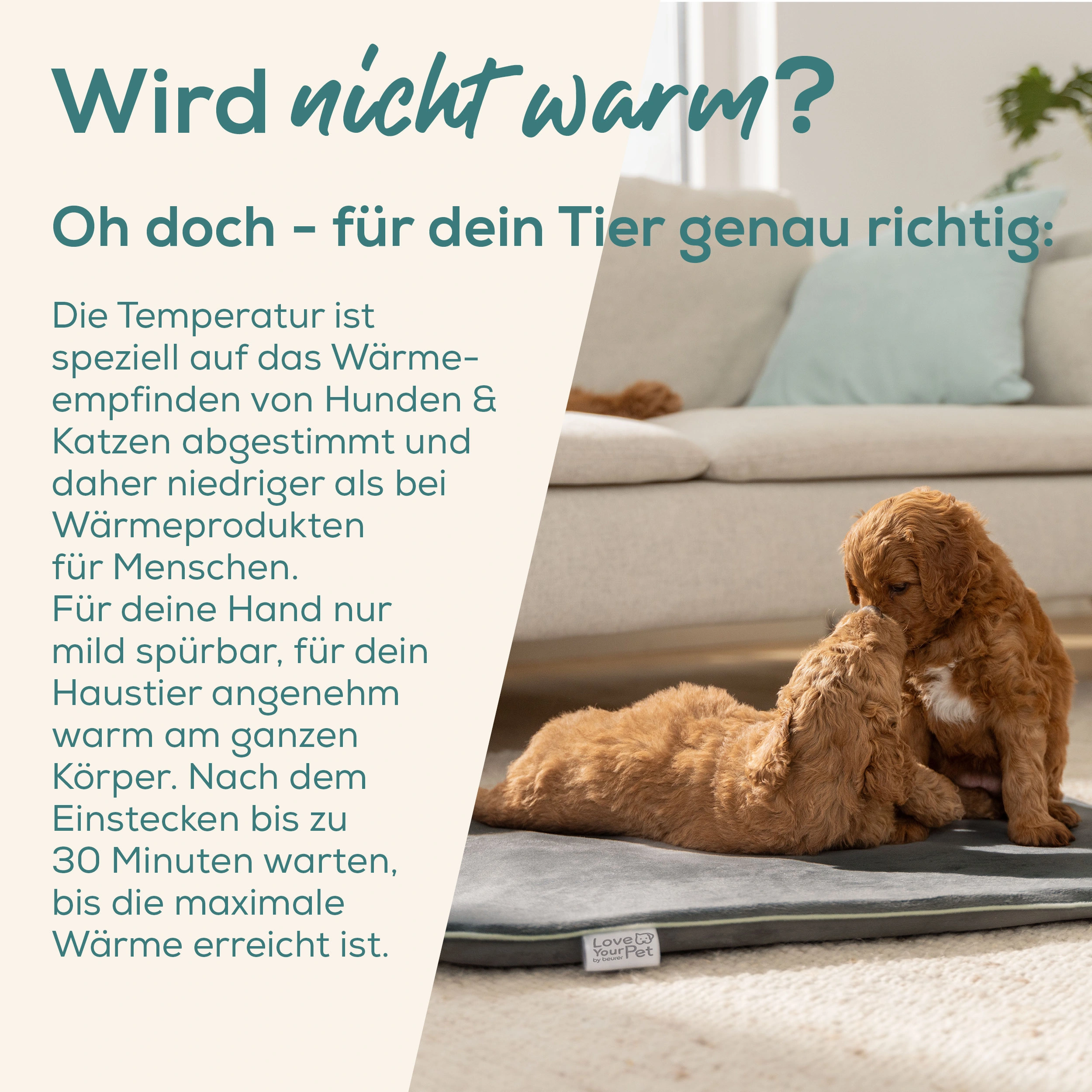 Beurer Heizmatte PP 220 "Sammy" für Tiere L105.44