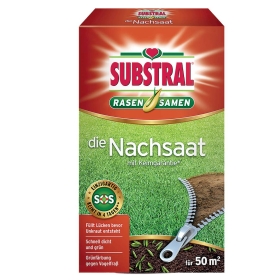 Kräuter, Pflanze, Boden