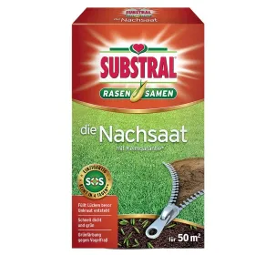 Kräuter, Pflanze, Boden