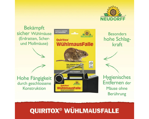 Werbung, Plakat, Säugetier, Ratte, Nagetier