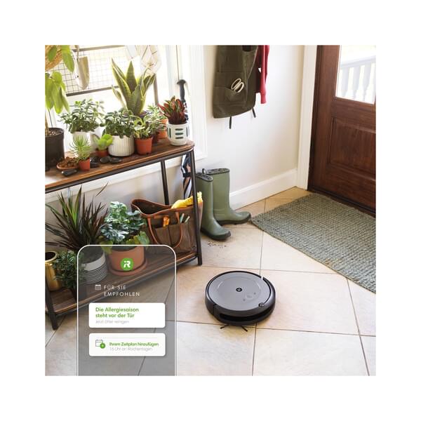 Innenarchitektur, Pflanze, Pflanze im Topf, Schuh, Teppich