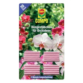 Blume, Pflanze