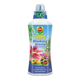 Kräuter, Pflanze, Flasche