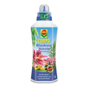 Kräuter, Pflanze, Flasche