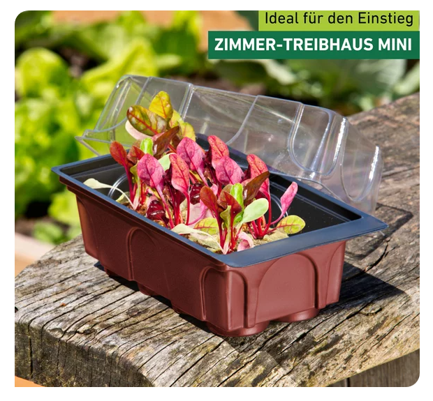 6842 Zimmertreibhaus 8 Tabs 19x11x11 cm 1234066