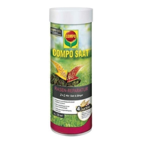 Kräuter, Pflanze, Zinn