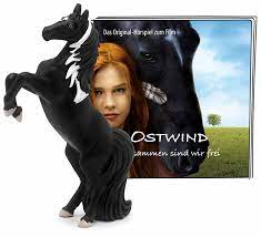 Tier, Colt Horse, Pferd, Säugetier