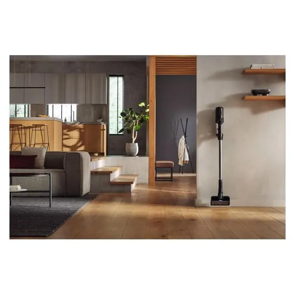 Innenarchitektur, Pflanze, Fußboden, Bodenbeläge, Couch