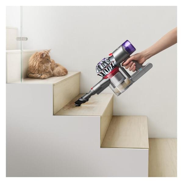 Drinnen, Innenarchitektur, Treppe, Fön, Katze