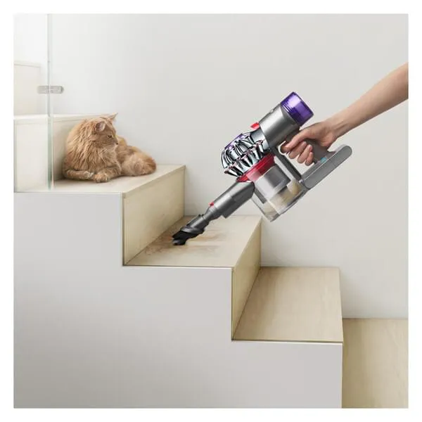 Drinnen, Innenarchitektur, Treppe, Fön, Katze