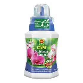 Blume, Pflanze, Kräuter, Flasche, Blütenblatt