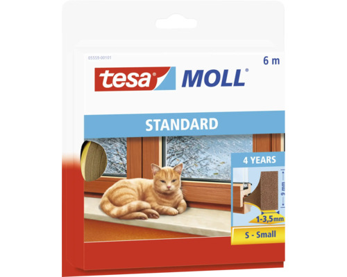 Tier, Katze, Säugetier, Haustier
