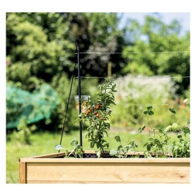 Drinnen, Innenarchitektur, Pflanze, Pflanze im Topf