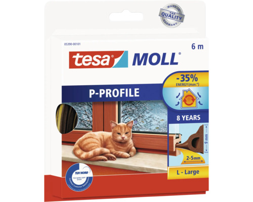 Tier, Katze, Säugetier, Haustier